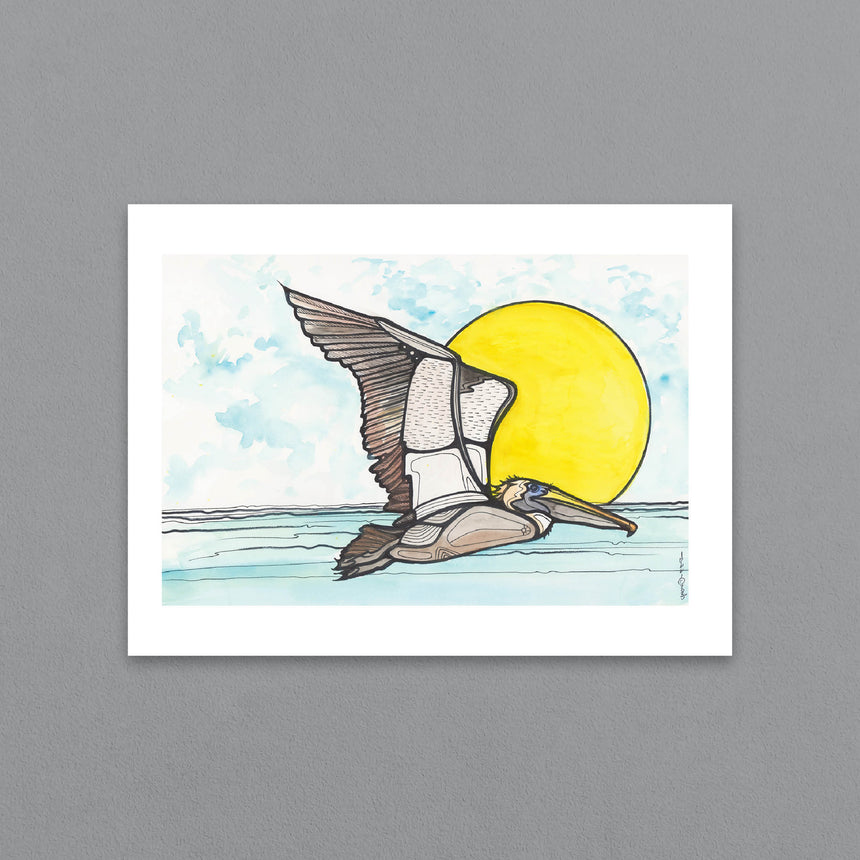 Brown Pelican