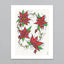 Four Poinsettias