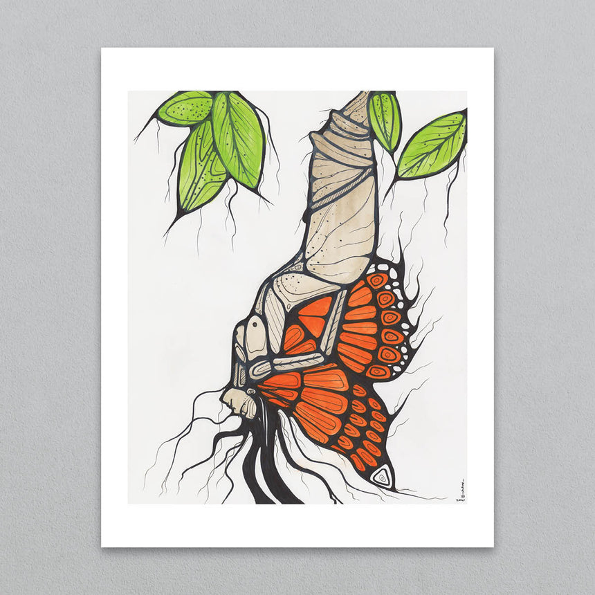 Monarch Butterfly