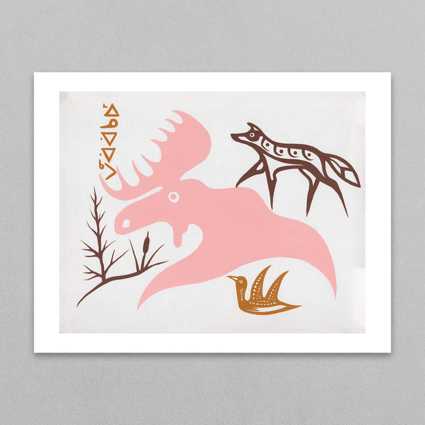 Pink Moose
