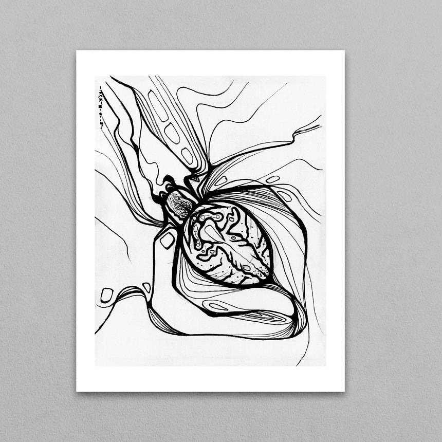 Orb Weaver