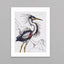 The Great Blue Heron